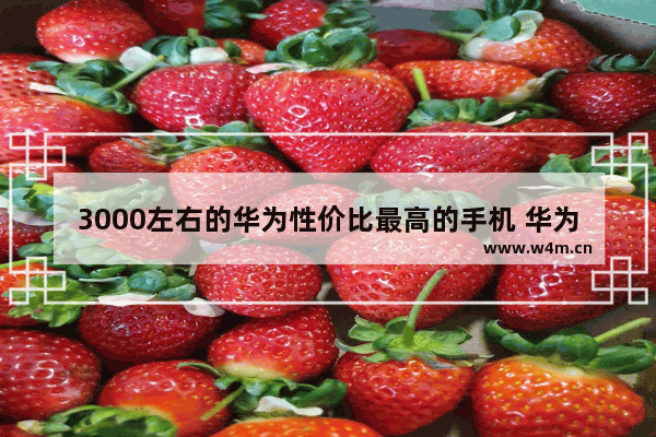 3000左右的华为性价比最高的手机 华为两千到三千左右性能好手机推荐