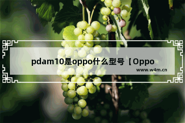 pdam10是oppo什么型号【Oppo PDAM10型号解析】