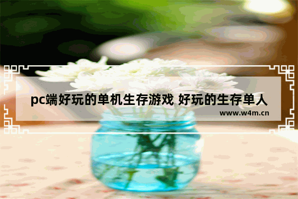 pc端好玩的单机生存游戏 好玩的生存单人游戏推荐