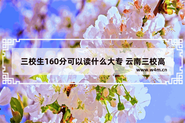 三校生160分可以读什么大专 云南三校高考分数线公布