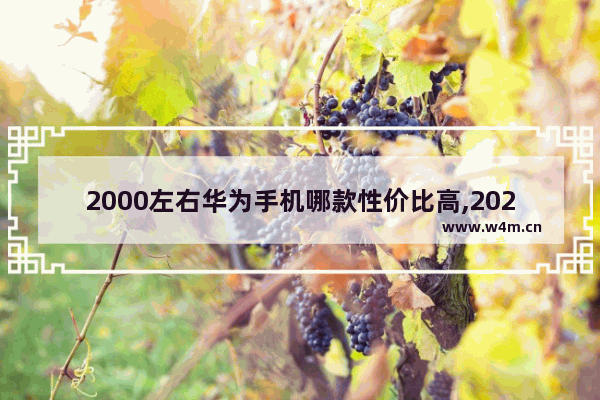 2000左右华为手机哪款性价比高,2021年2000左右华为性价比高手机