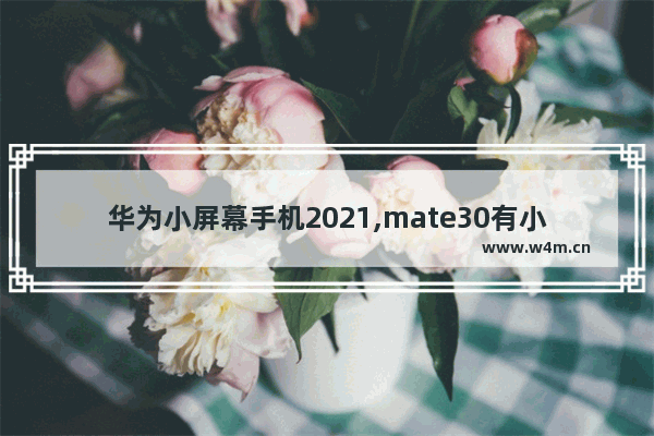 华为小屏幕手机2021,mate30有小屏机吗