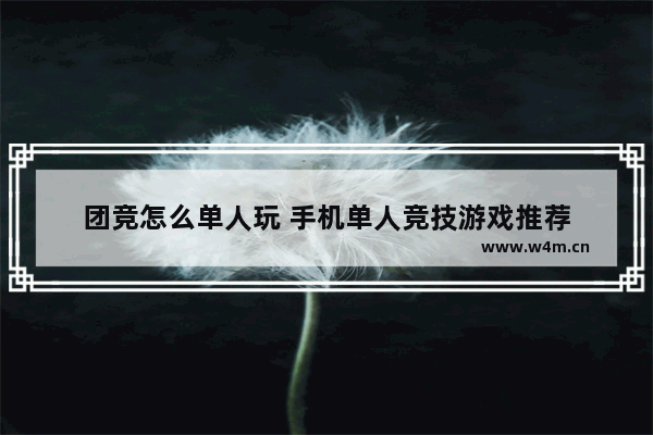 团竞怎么单人玩 手机单人竞技游戏推荐