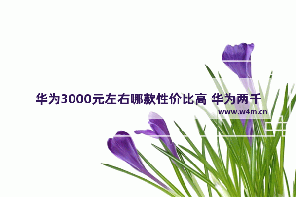 华为3000元左右哪款性价比高 华为两千五到三千手机推荐5g