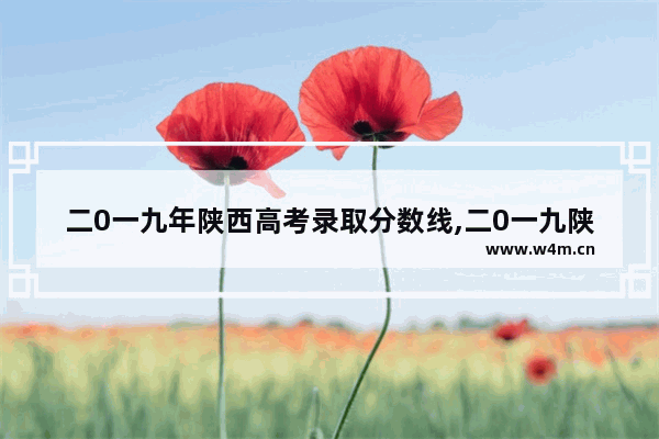 二0一九年陕西高考录取分数线,二0一九陕西高考分数线