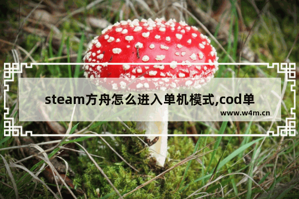 steam方舟怎么进入单机模式,cod单人狂暴生存游戏怎么组队