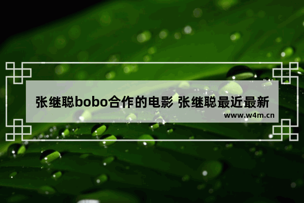 张继聪bobo合作的电影 张继聪最近最新电影有哪些名字呢