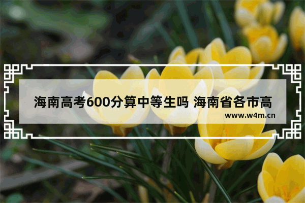 海南高考600分算中等生吗 海南省各市高考分数线