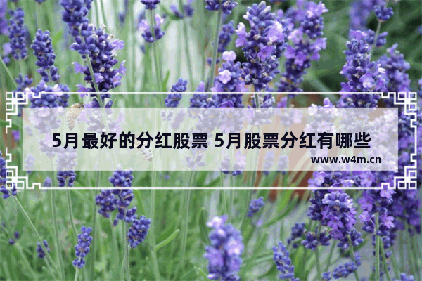 5月最好的分红股票 5月股票分红有哪些