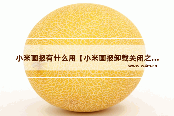 小米画报有什么用【小米画报卸载关闭之后的影响】