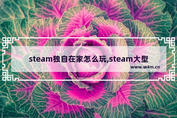 steam独自在家怎么玩,steam大型单人游戏