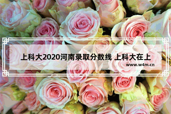 上科大2020河南录取分数线 上科大在上海高考分数线