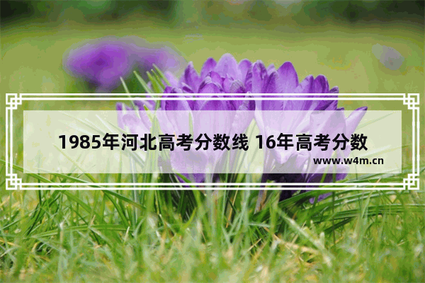 1985年河北高考分数线 16年高考分数线新闻