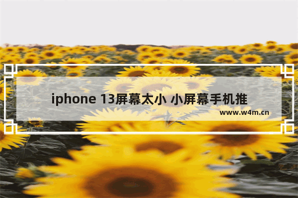 iphone 13屏幕太小 小屏幕手机推荐安卓五英寸