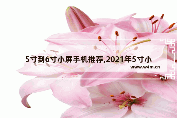 5寸到6寸小屏手机推荐,2021年5寸小屏手机