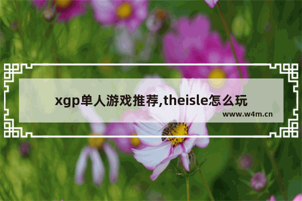 xgp单人游戏推荐,theisle怎么玩单人模式