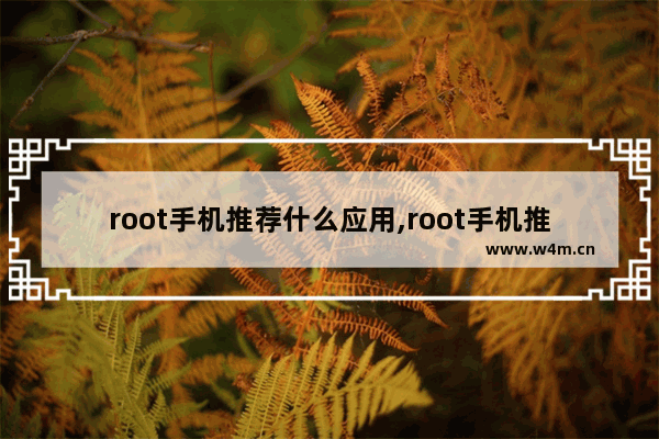 root手机推荐什么应用,root手机推荐