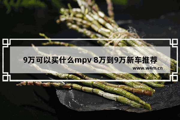 9万可以买什么mpv 8万到9万新车推荐哪款车最好开