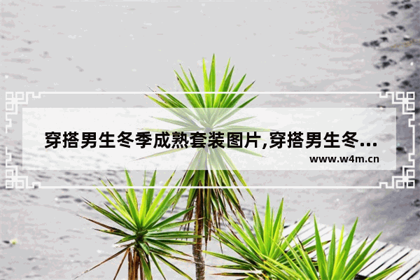 穿搭男生冬季成熟套装图片,穿搭男生冬季成熟套装