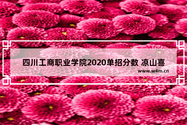 四川工商职业学院2020单招分数 凉山喜德县高考分数线