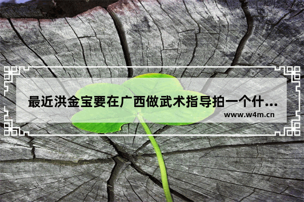 最近洪金宝要在广西做武术指导拍一个什么电影?qq 洪金宝导演近期最新电影叫什么