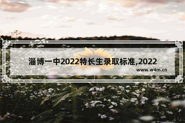 淄博一中2022特长生录取标准,2022年健美操专业文化课多少分