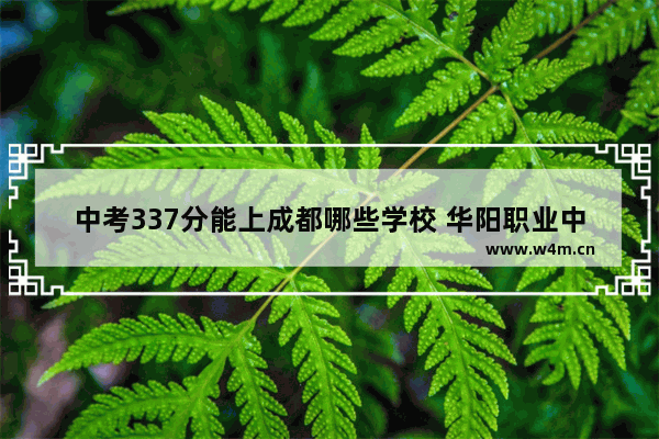 中考337分能上成都哪些学校 华阳职业中学高考分数线