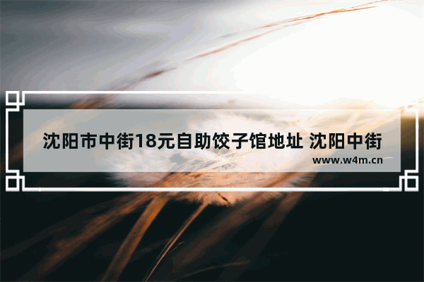 沈阳市中街18元自助饺子馆地址 沈阳中街附近实惠美食推荐地址