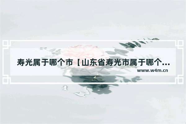 寿光属于哪个市【山东省寿光市属于哪个市】