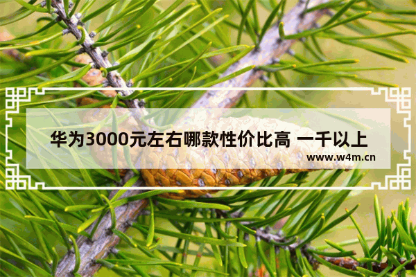 华为3000元左右哪款性价比高 一千以上三千以下华为手机推荐买