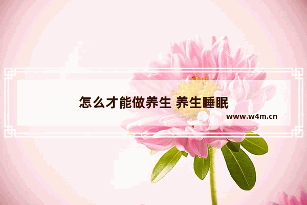 怎么才能做养生 养生睡眠