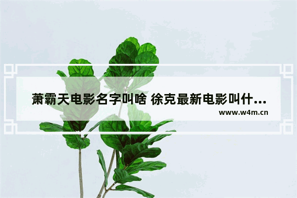 萧霸天电影名字叫啥 徐克最新电影叫什么名字