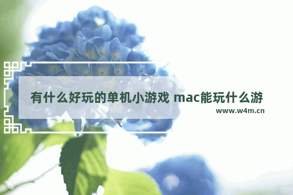 有什么好玩的单机小游戏 mac能玩什么游戏