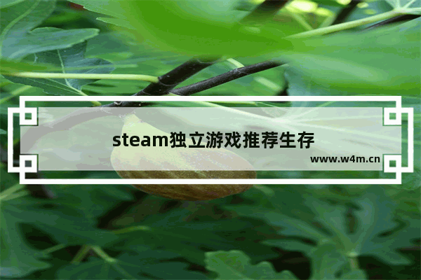  steam独立游戏推荐生存