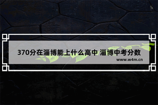 370分在淄博能上什么高中 淄博中考分数线近年高考