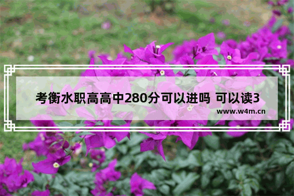 考衡水职高高中280分可以进吗 可以读3+4本科吗 衡中a类b类生录取分数区别