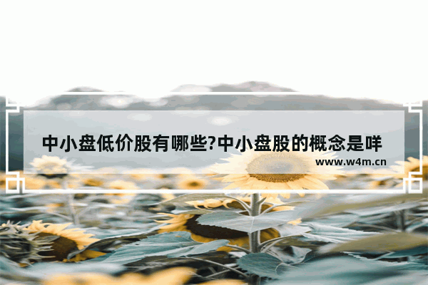 中小盘低价股有哪些?中小盘股的概念是咩 价格贵的股票和便宜的股票 哪个升值了更赚