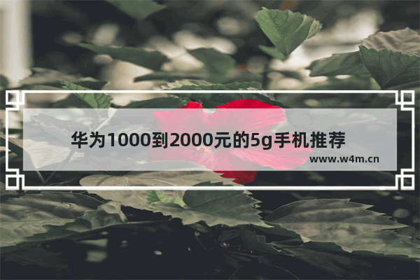 华为1000到2000元的5g手机推荐 华为手机推荐性价比高5g新机型