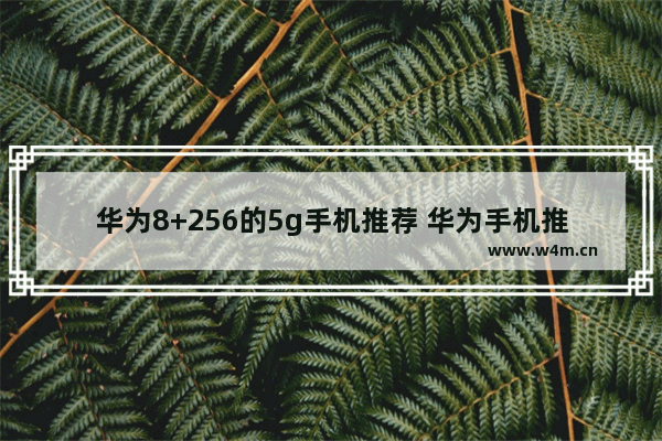 华为8+256的5g手机推荐 华为手机推荐性价比高5g新机吗