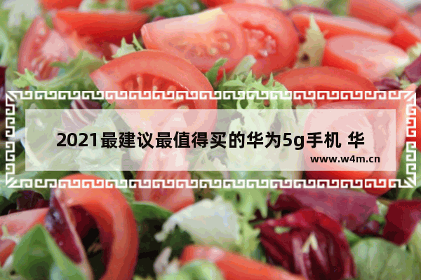 2021最建议最值得买的华为5g手机 华为手机推荐性价比高5g新机子