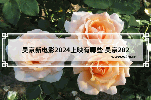 吴京新电影2024上映有哪些 吴京2023年总共有几部新电影上映