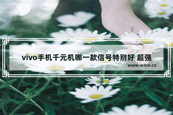 vivo手机千元机哪一款信号特别好 超强信号手机推荐千元机