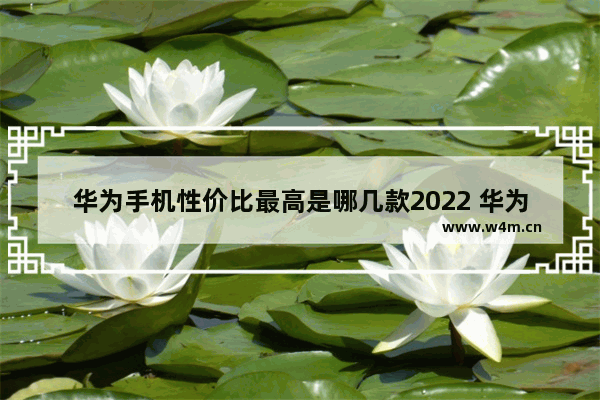 华为手机性价比最高是哪几款2022 华为新款5g手机推荐性价比高吗