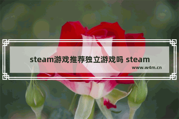 steam游戏推荐独立游戏吗 steam游戏推荐独立游戏