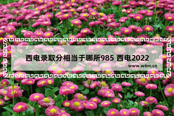 西电录取分相当于哪所985 西电2022高考分数线位次