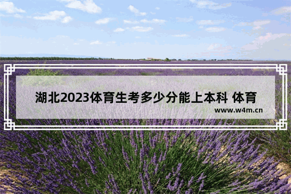 湖北2023体育生考多少分能上本科 体育生高考分数线2023湖北