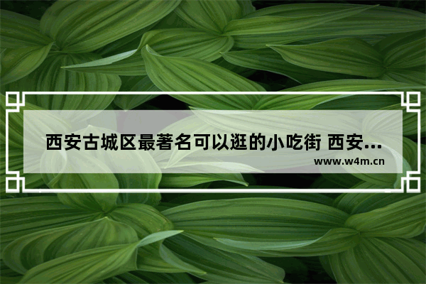 西安古城区最著名可以逛的小吃街 西安北郊爆肚面哪里最好吃