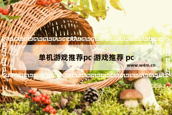 单机游戏推荐pc 游戏推荐 pc