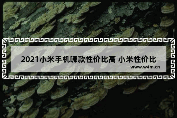 2021小米手机哪款性价比高 小米性价比手机推荐哪款