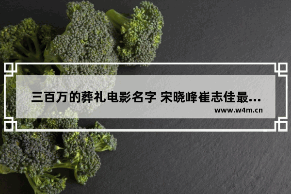 三百万的葬礼电影名字 宋晓峰崔志佳最新电影叫什么名字啊